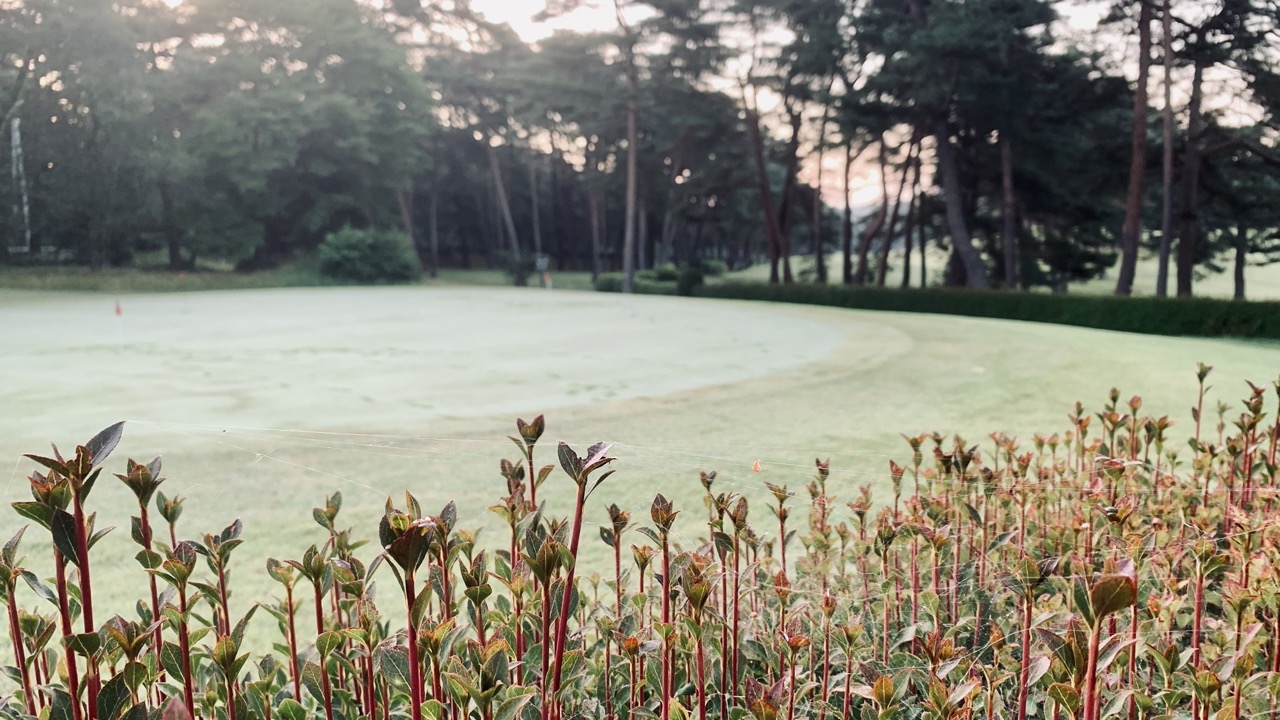 One of the two putting greens outside the clubhouse at Kurikoma Golf Club.