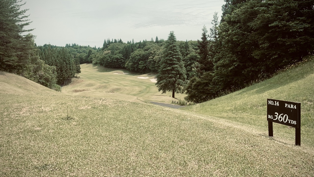 Hole 14 tee ground at Royal Century Golf Club.