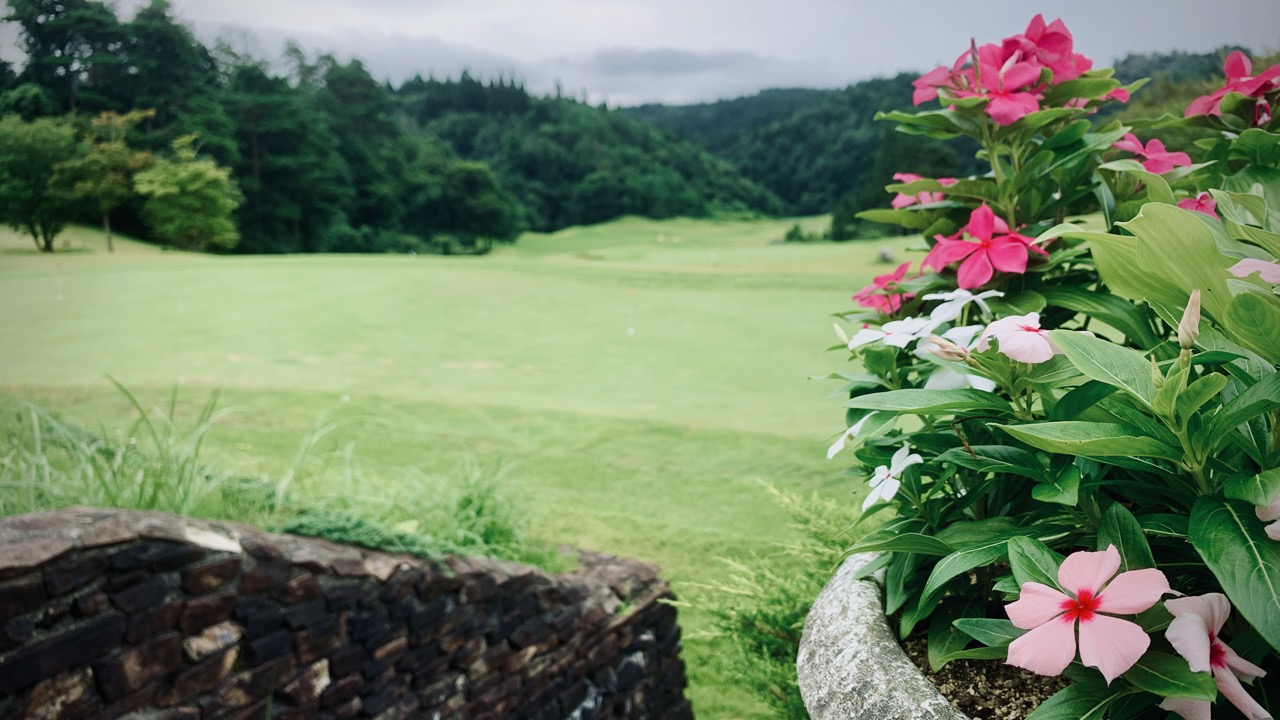 Flowers overlooking the practice greens at North Hampton GC