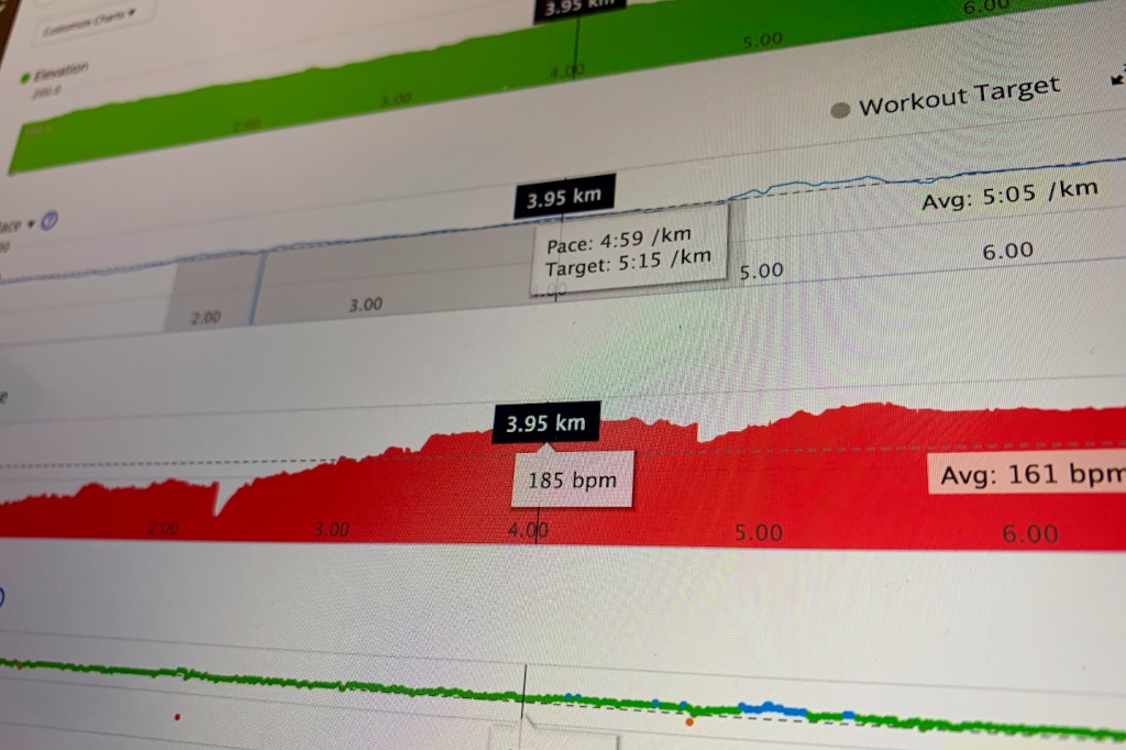 Computer screen showing various running data from GARMIN Connect