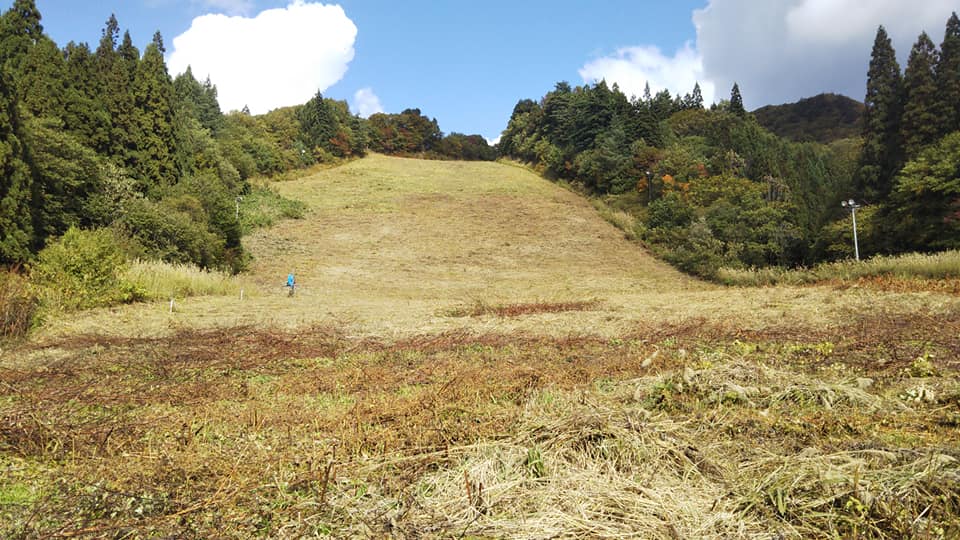 Result of ski area cut by hand